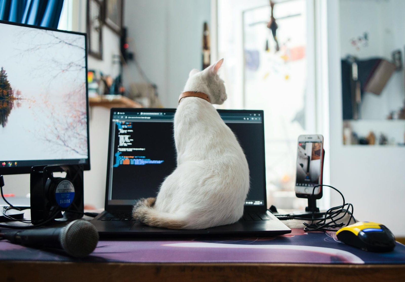 How Copilot Health Analyzed My Medical Records - A Real Test