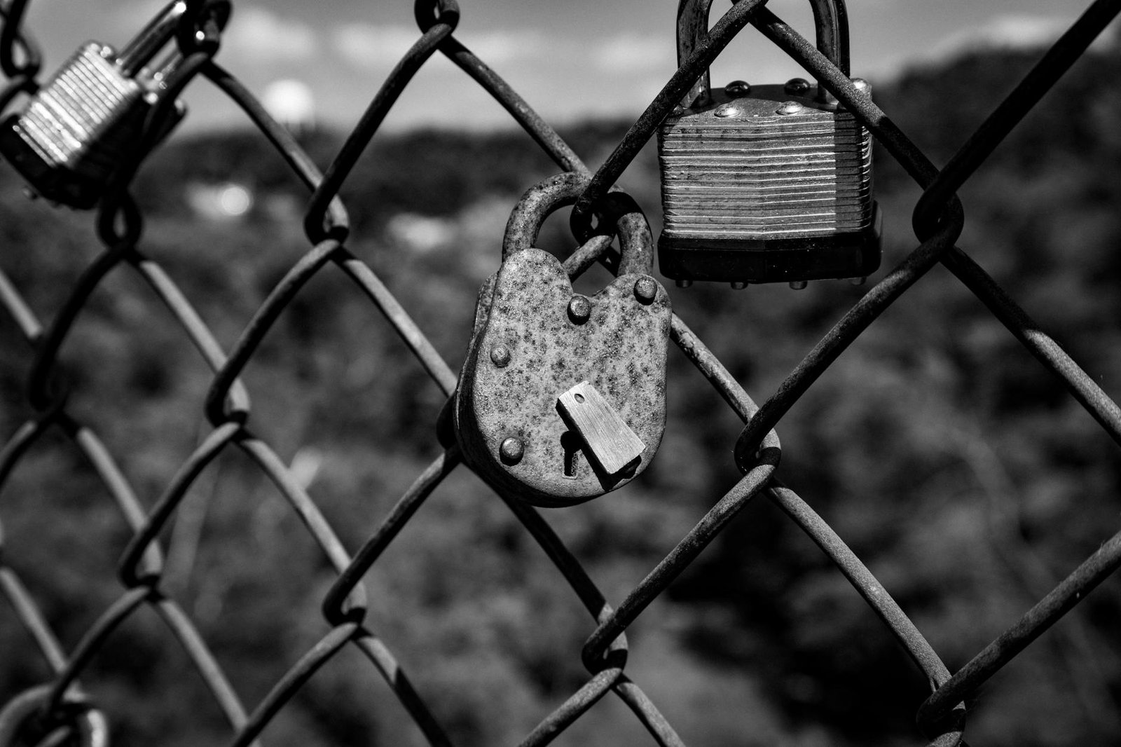 Why Protecting AI Data Matters for Everyone